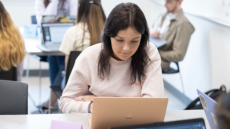 An education student conducts her coursework on her laptop in a class.